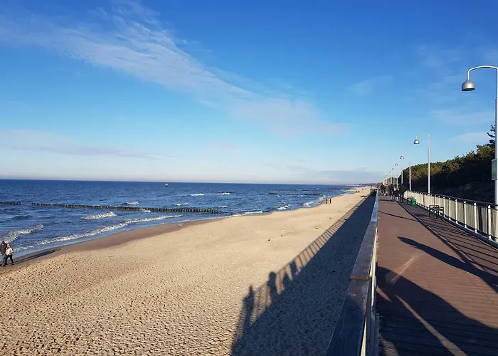 Cinema * Мельно