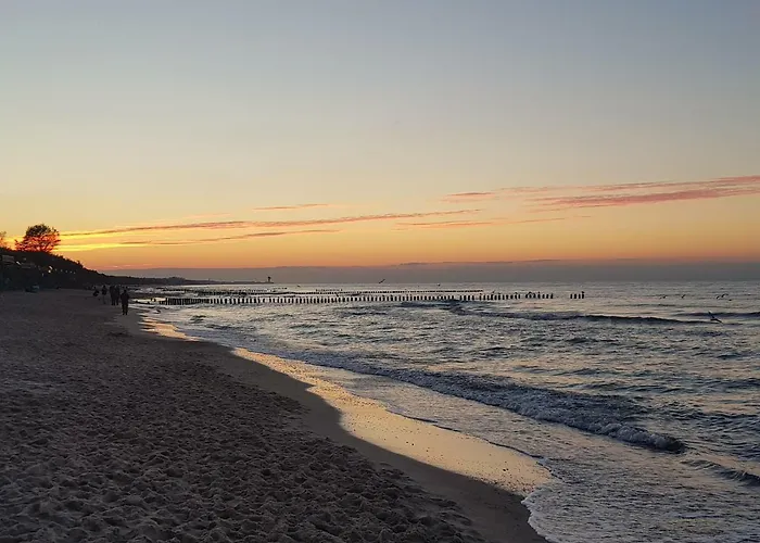 Апартаменты Cinema